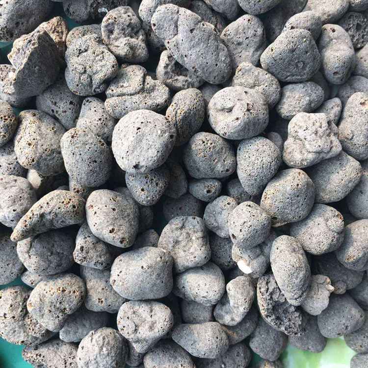 ʮ�߽����������l(f��)�S(ch��ng)�ҷ�����������ʹ���������������E